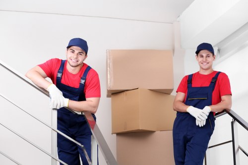Professional packing team preparing household items for a move in Haroldpark